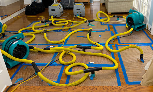 Professional Sewage Cleanup technician working in Pepperell, MA